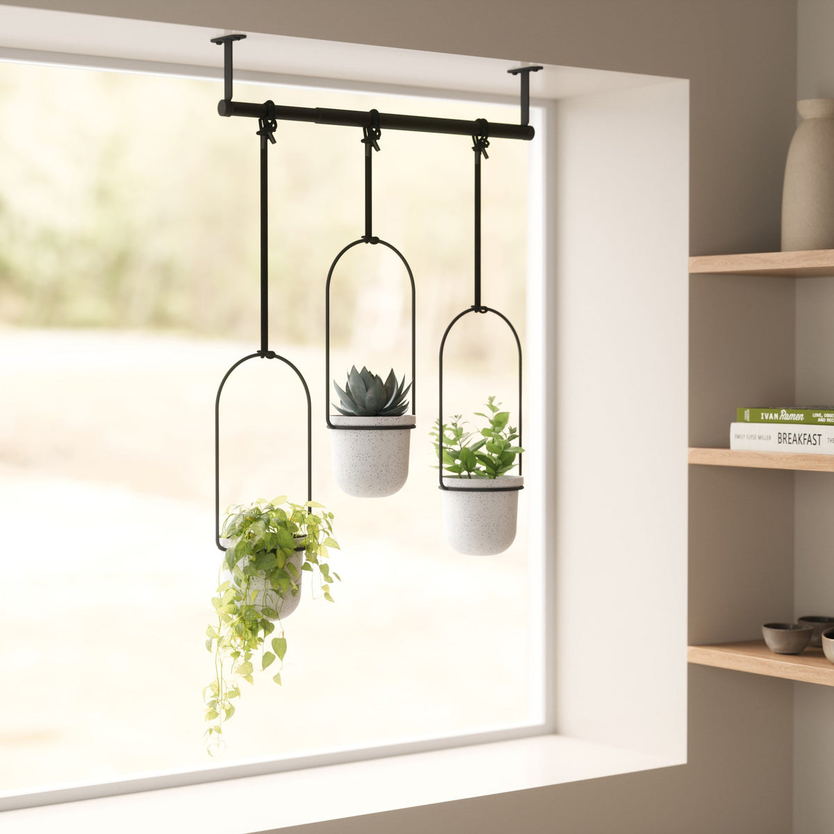 Triflora hanging planter mounted on a wall with plants